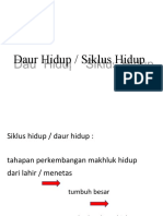 Siklus Hidup Hewan