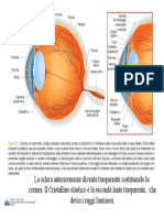 Fisica Ottica - 1