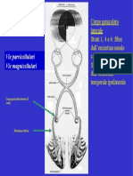 Fisica Ottica - 33