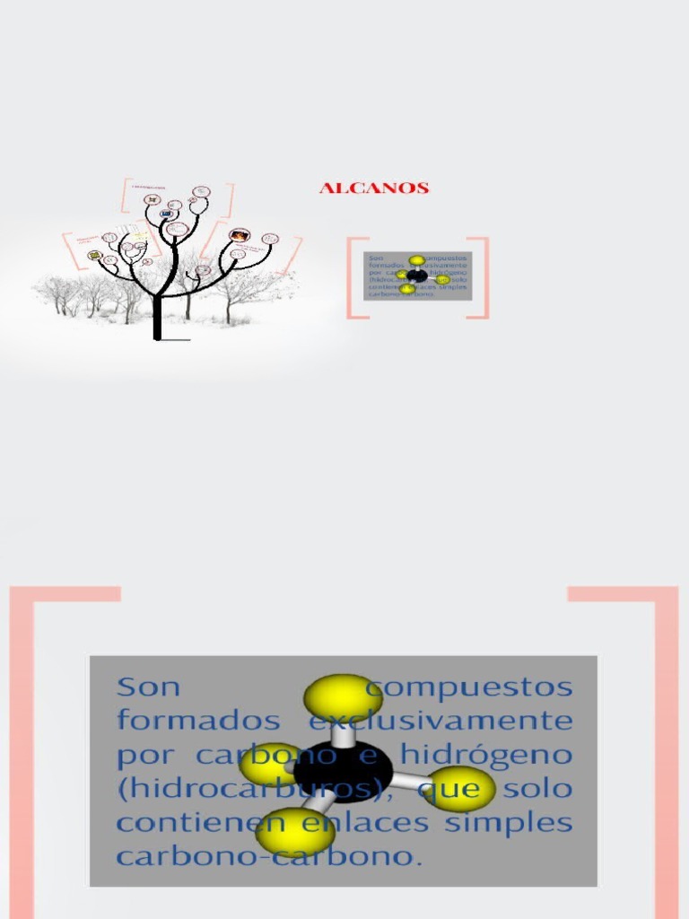 ALCANOS PDF