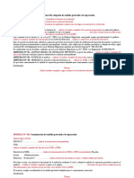 Modelo de RD Sobre Separación Preventiva Art. 44 Ley 29944