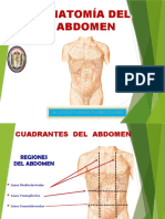 10 Anatomia de Abdomen