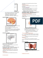 Endocrine System