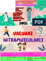 Vacunas Intramusculares 