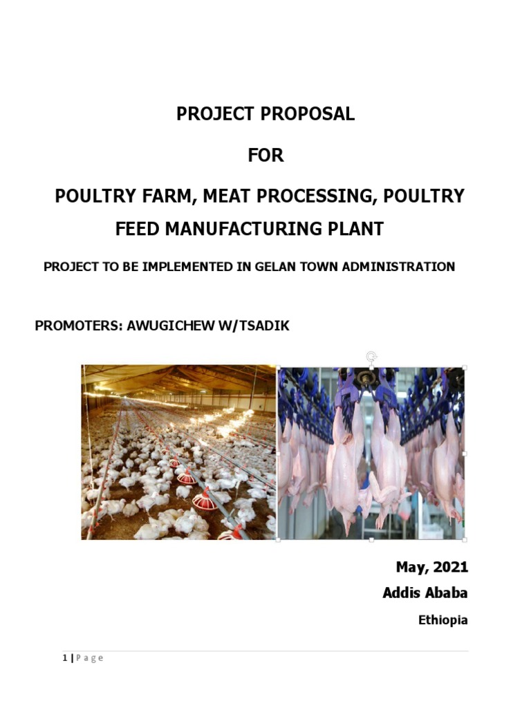 Poultry Farm and Meat Processing Project Proposal PDF Meat Chicken