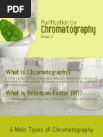 Rf Values of Plant Pigments in Chromatography | PDF