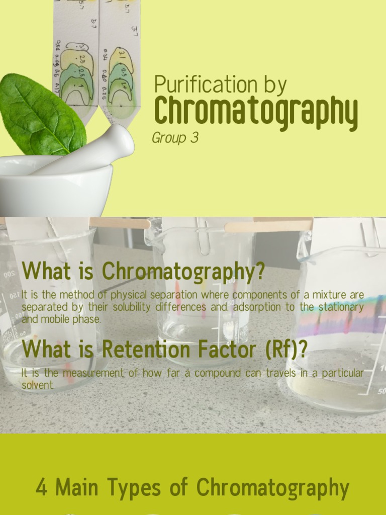 Purification of Spinach Pigments by Thin Layer Chromatography PDF