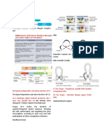 Resume Farmakologi Dasar