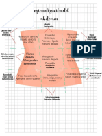 Regiones Abdominales