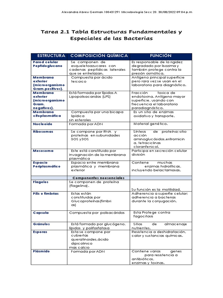 Estructuras y Composición de Bacterias | PDF | Membrana celular | Las ...