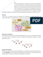 Ácido Nucleico