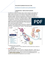 1er Video Ventilación Pulmonar Fisio de Altura