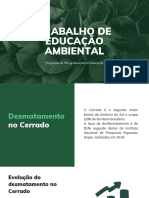 Apresentação Educação Ambiental Formal e Informal