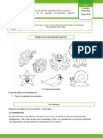 SEXTO GRADO CIENCIAS NATURALES CLASE 9 Ok