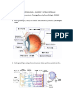 Guia Visiã N - Audiciã N y Vestibular