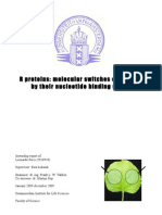 R Proteins: Molecular Switches Controlled by Their Nucleotide Binding Status