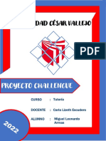 Proyecto Challenge