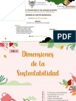 Dimensiones de La Sustentabilidad