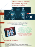 Sistema Endocrino