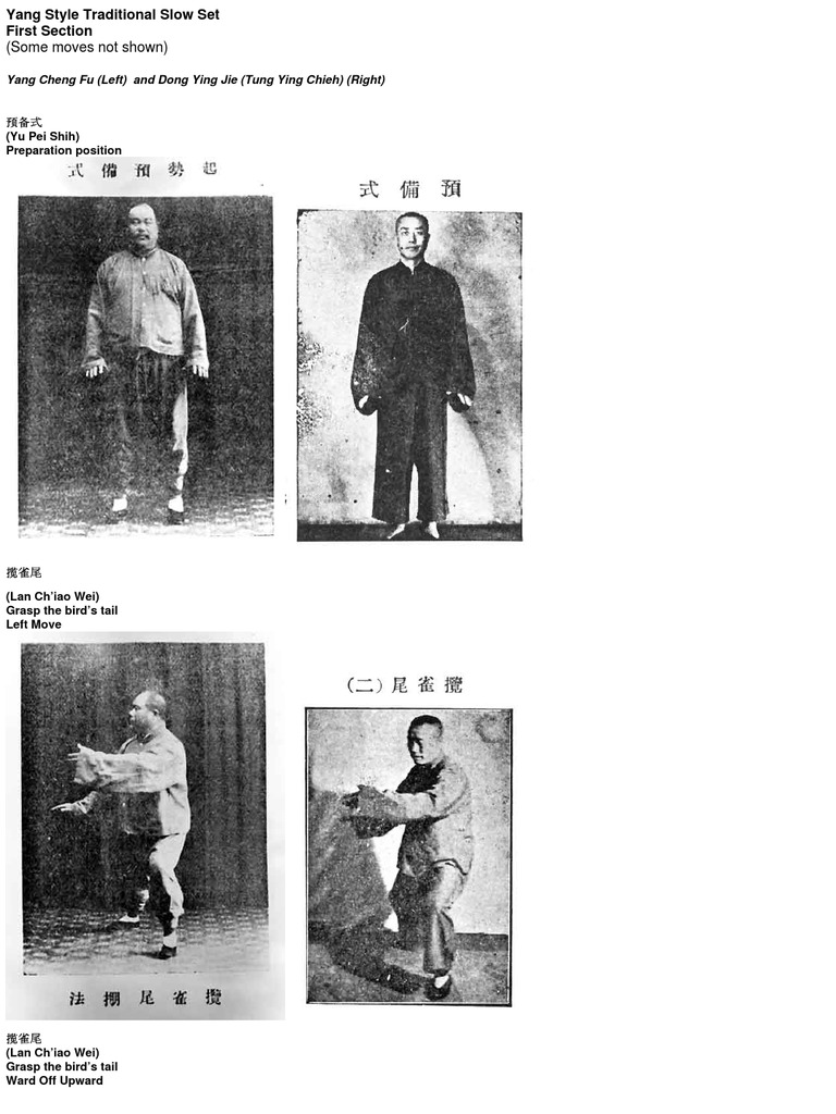 Yang Style Tai Chi Moves | PDF
