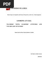 Download Looking at CLIL by MAG1985 SN59076864 doc pdf