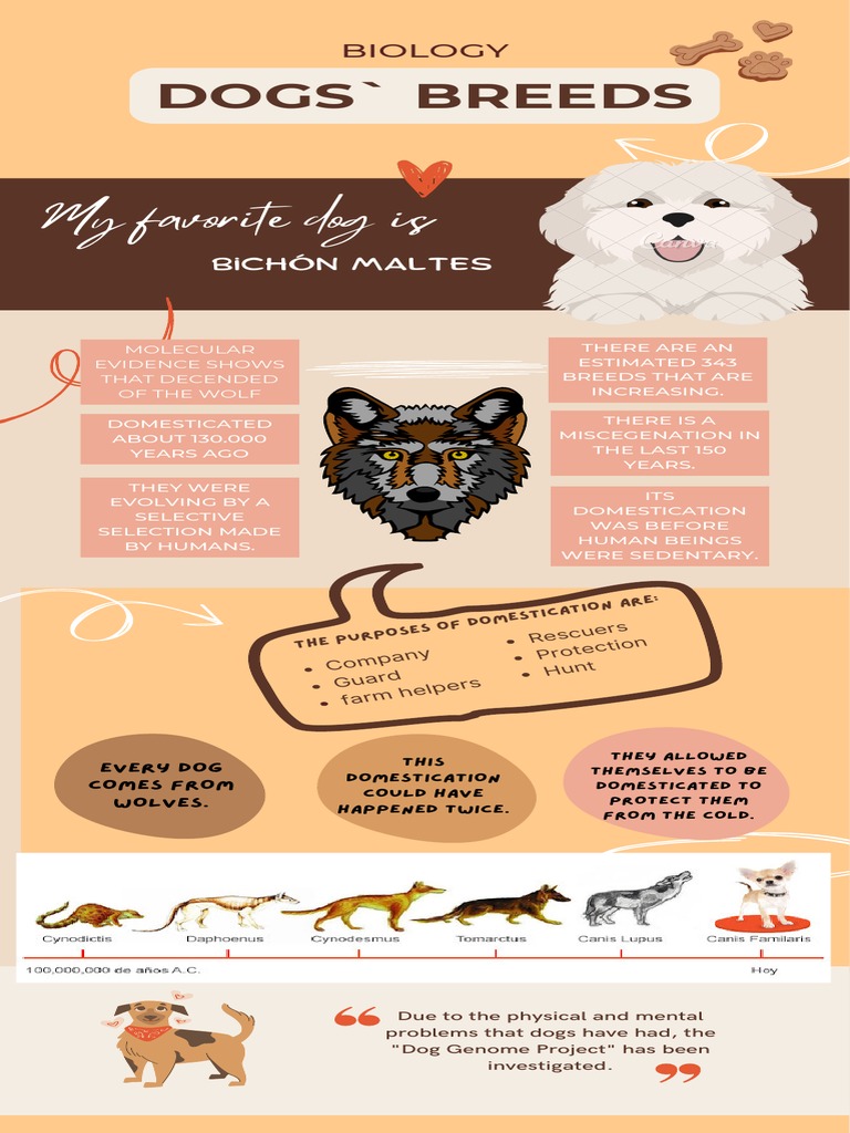 Biology Dogs' Breeds PDF Dogs Pet