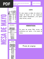 Escala de Bromage | PDF