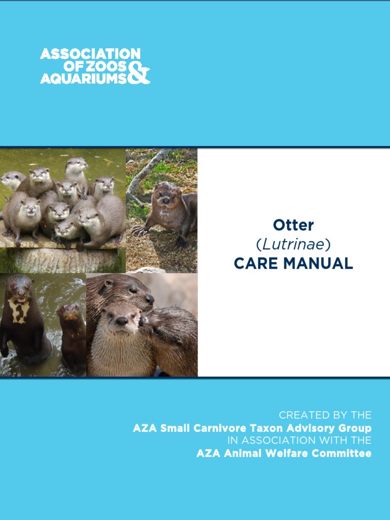 Otter Care Manual 2009 NAG EDIT | PDF | Nutrients | Vitamin