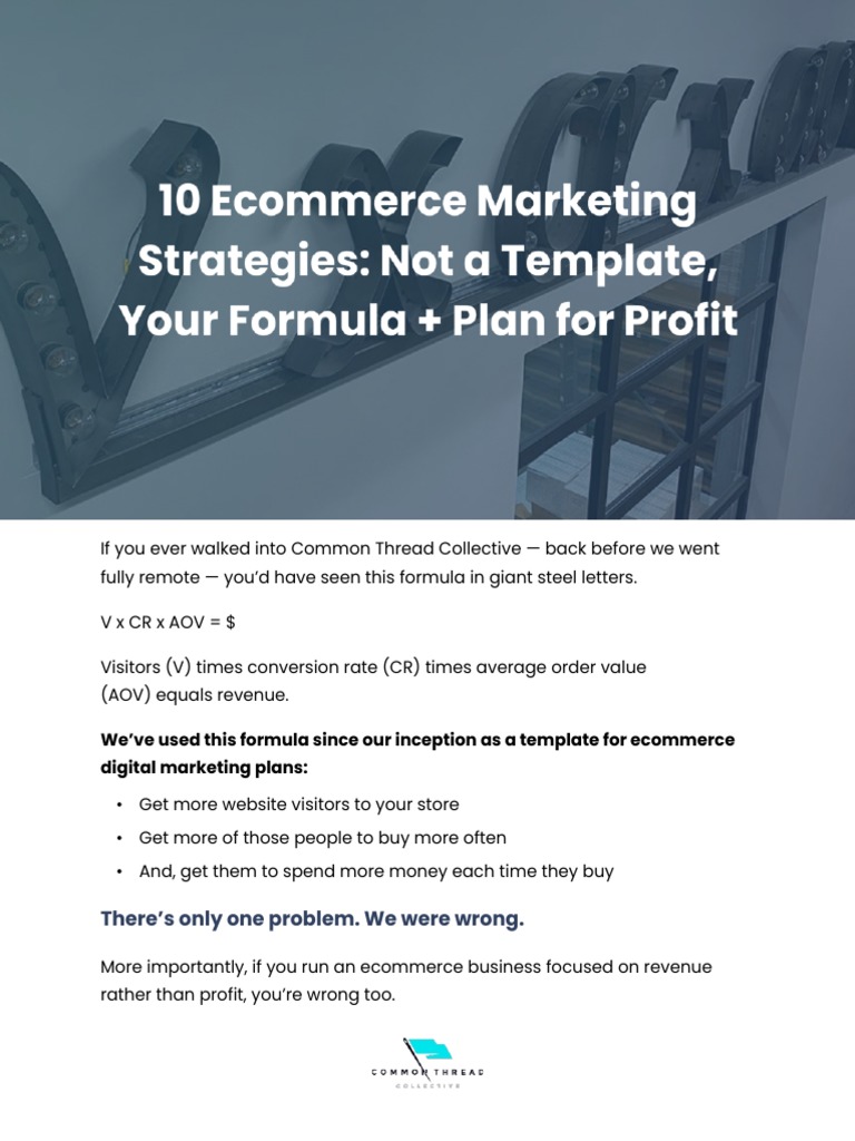Ecommerce Digital Marketing Strategy Pdf Search Engine Optimization