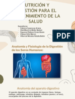 Anatomia Del Ap. Digestivo