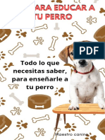 Tips para Educar A Tu Perro - 220830 - 105032