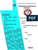 Actividad Peleana