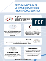 Sustancias Con Puentes de Hidrógeno