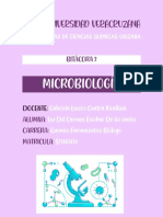 Bitácora 3-Microbiología-Luz
