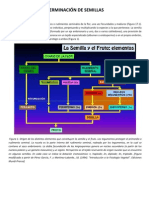 GERMINACIÓN DE SEMILLAS