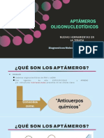 Aptameros