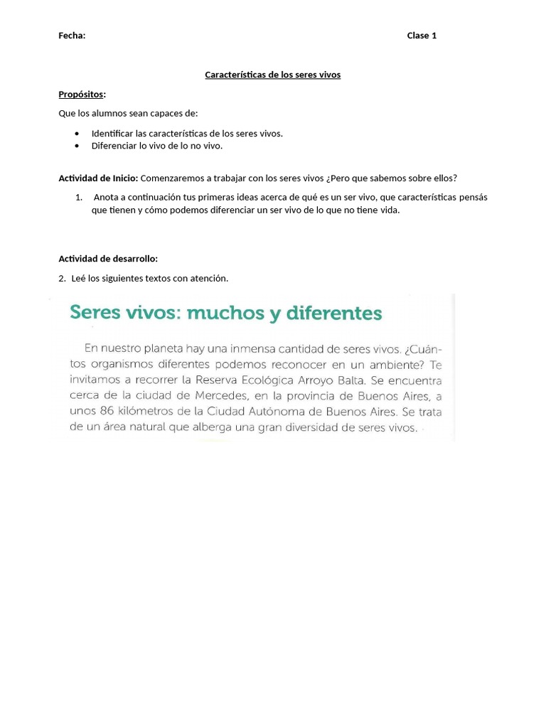 Clasificación de Seres Vivos para 4to Grado | PDF | Plantas | Hongo