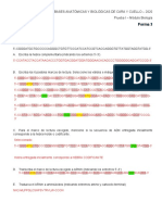 Prueba 1 Modulo Biologia - Forma 3 - PAUTA