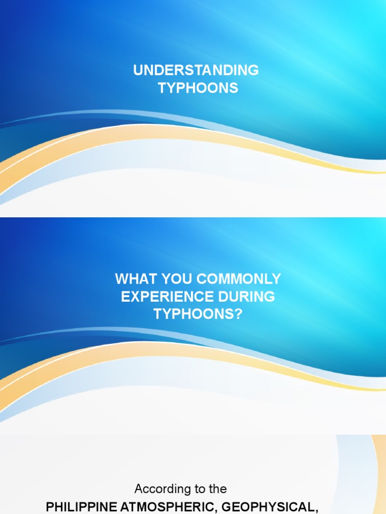 Typhoon Preparedness and Insights | PDF