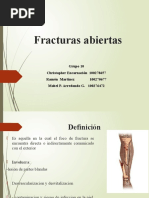 Clasificación de Gustilo - Anderson | PDF | Tratamientos médicos