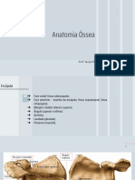 6- Anatomia Óssea.pptx