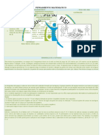 Pensamiento Matematico