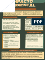 Infografía Impacto Ambiental