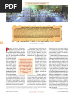 Experimentação Problematizadora