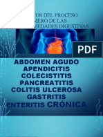 Aspectos Del Proceso Enfermero de Las Enfermedades Digestivas