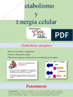 Expo Bioquimica