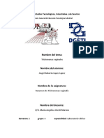 Resumen de Trichononas Vaginalis