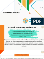 Encontro 8 - Políticas de Segurança Pública - Slides