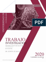 Trabajo de Investigacion Radiologia