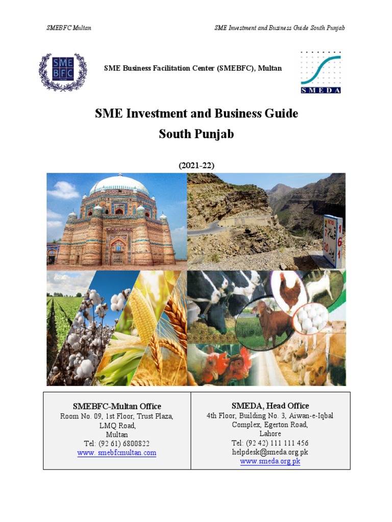 SME Investment Guide for South Punjab | PDF | Agriculture | Economies